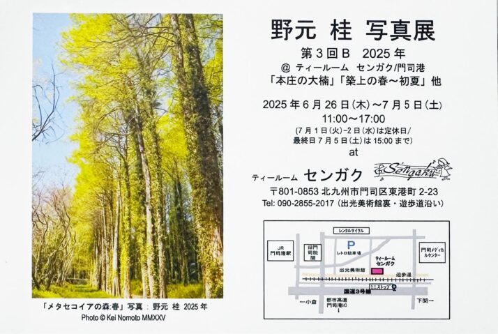 野元桂DM